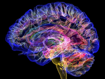 最黄暴操穴社交欧美视频大脑植入物有助于严重头部损伤恢复